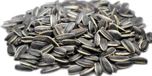 Sunflower Seeds