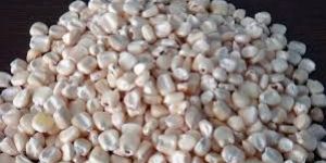 White Maize