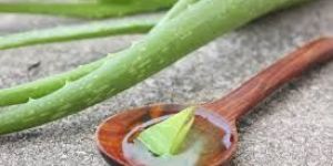Aloe Vera Gel