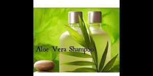 Aloe Vera Shampoo