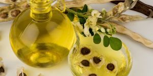 Moringa Seed Oil
