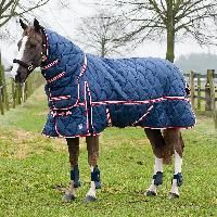 Stable Rug