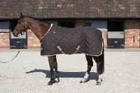 Stable Rugs