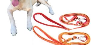Dog Lead and Leash