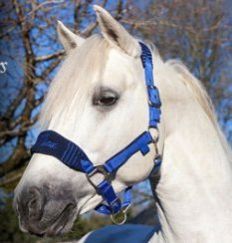 Horse Nylon Halters