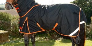 Horse Rain Rugs