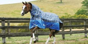 Horse Turnout Rugs