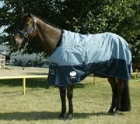 Horse Blanket