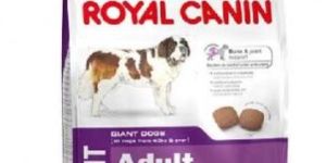 Royal Canin Giant Adult