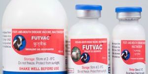 Foot-and-Mouth Disease Vaccine, Inactivated