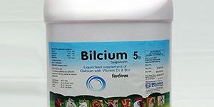 Calcium Liquid Feed Supplement