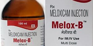 Meloxicam Inj-100 ml