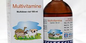 Multivitamine Inj-100 ml