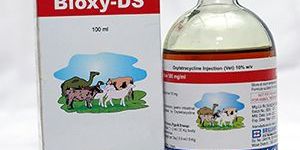 100 Ml Oxytetracycline Injection