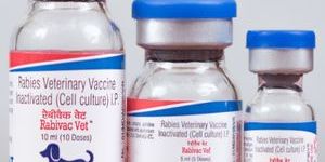 Rabies Veterinary Vaccine
