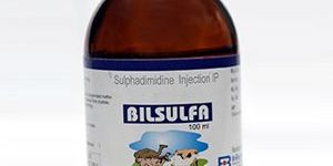 100 Ml Sulphadimidine Injection