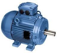 W21 Standard Efficiency Non-Sparking Motor