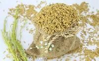 Agri Seeds