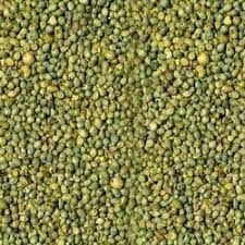 Green Millet Seeds