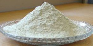 Dehydrated White Onion Powder