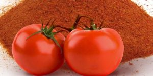 Spray Dried Tomato Powder