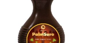 Liquid Palm Jaggery
