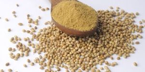 Coriander Powder