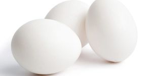 White Chicken Eggs