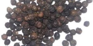 Black Pepper