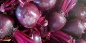 Fresh Beetroot