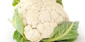 Fresh Cauliflower