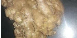 Fresh Ginger