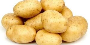 Fresh Potato