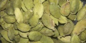 Green Cardamom