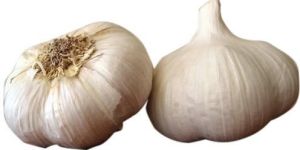 Raw Garlic