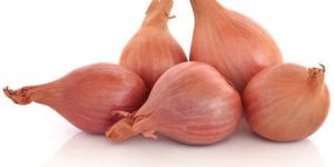 Shallot Onion