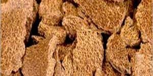 Mustard Oil Cake