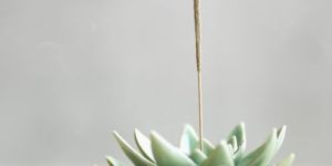 Incense Stick Fragrances