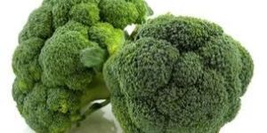 Fresh Broccoli