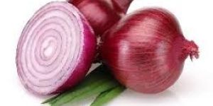 Fresh Red Onion
