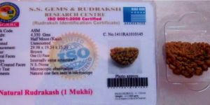 Certified 1 Mukhi Rudraksha