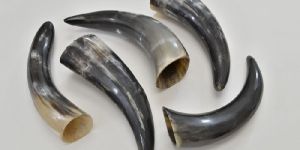 Drinking Horn