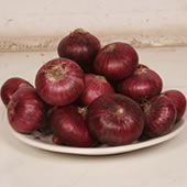 red-onion03