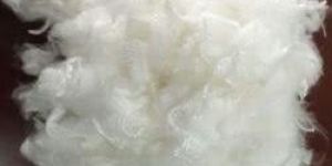 Virgin Polyester Staple Fibre