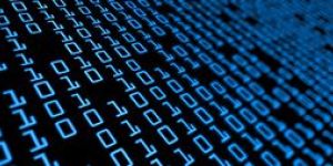 Data Mining Services