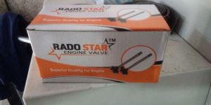 Rado Star Engine Valve