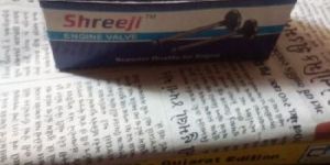 Shreeji Engine Valve