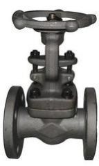 Forged Steel Gate Valve