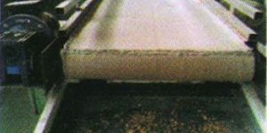 Belt Conveyor