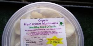 Fresh Oyster Mushroom